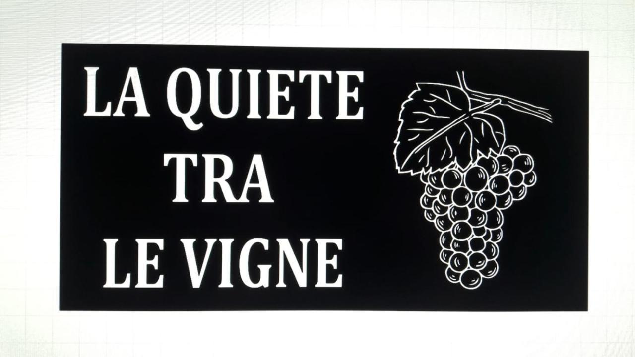 La Quiete Tra Le Vigne Tuscany * Collesalvetti