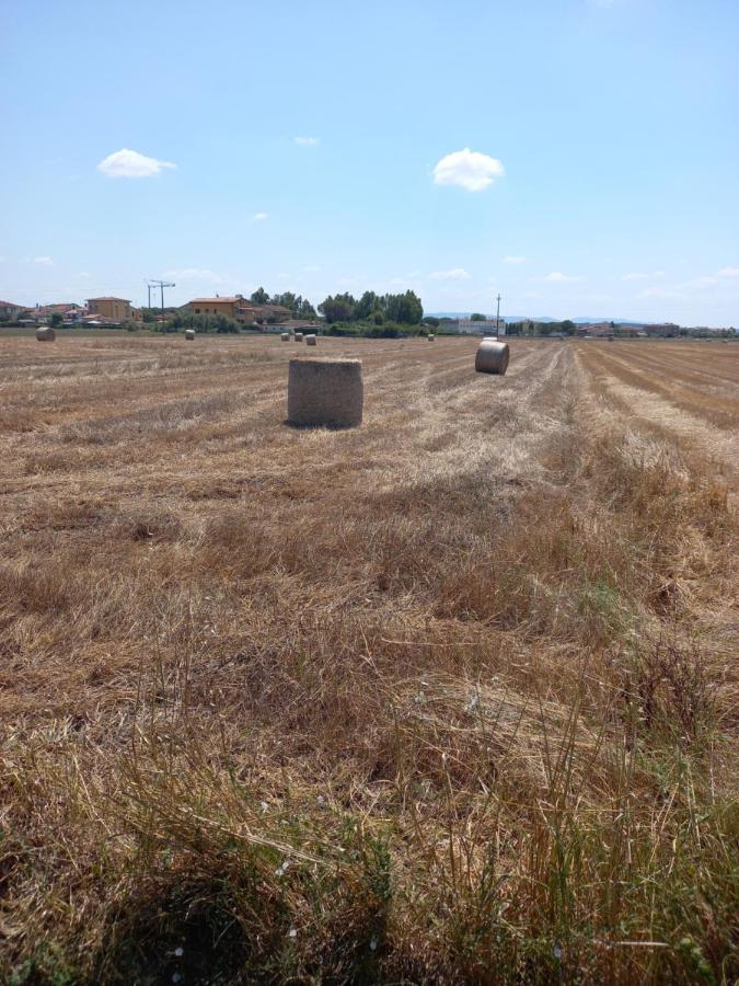 La Quiete Tra Le Vigne Tuscany Apartment
