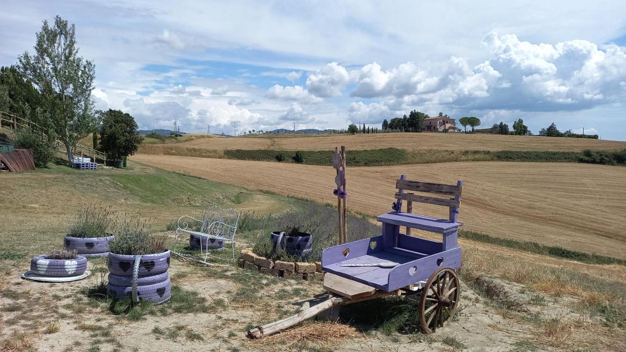 La Quiete Tra Le Vigne Tuscany * Collesalvetti