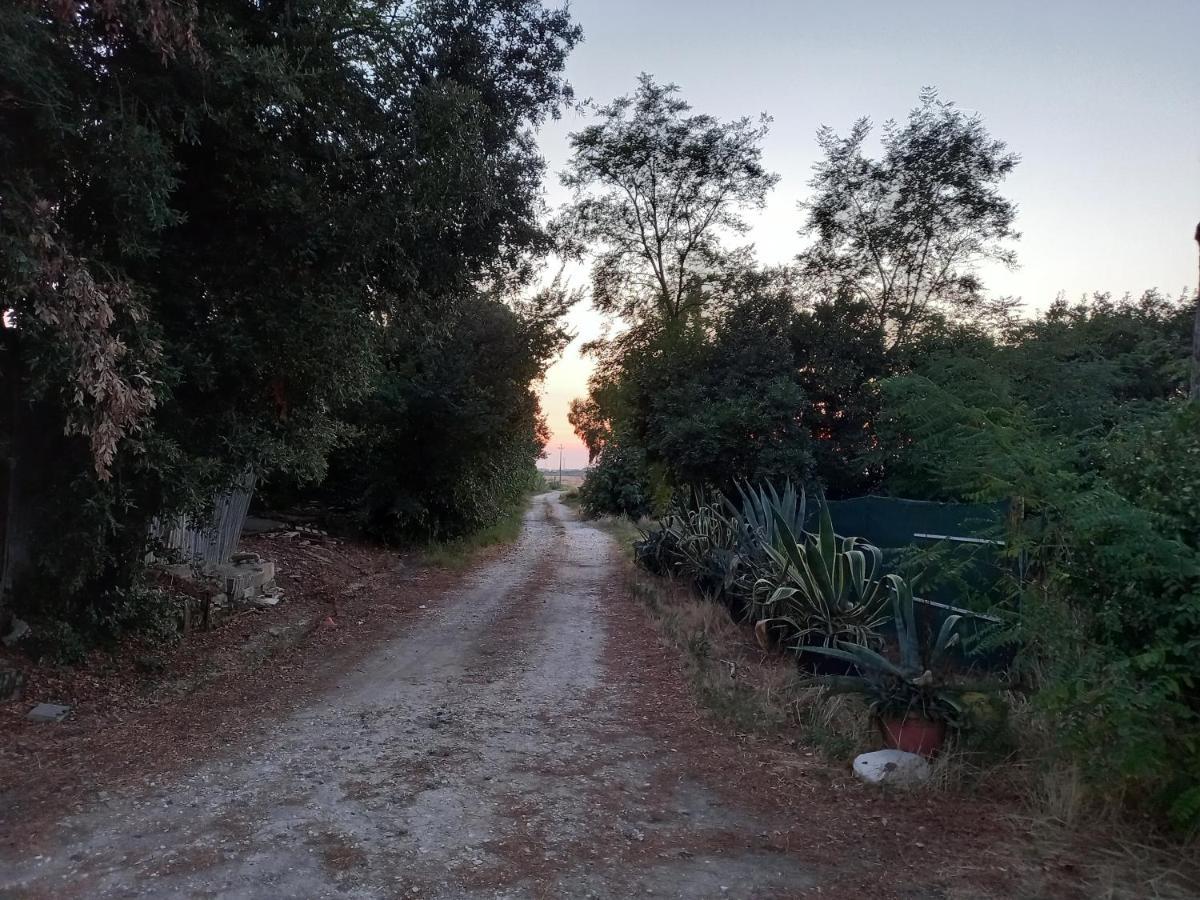 La Quiete Tra Le Vigne Tuscany Collesalvetti