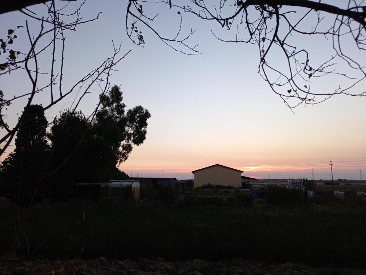 La Quiete Tra Le Vigne Tuscany *