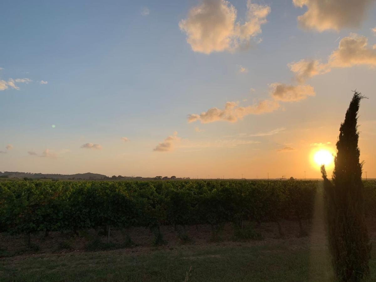 Apartment La Quiete Tra Le Vigne Tuscany