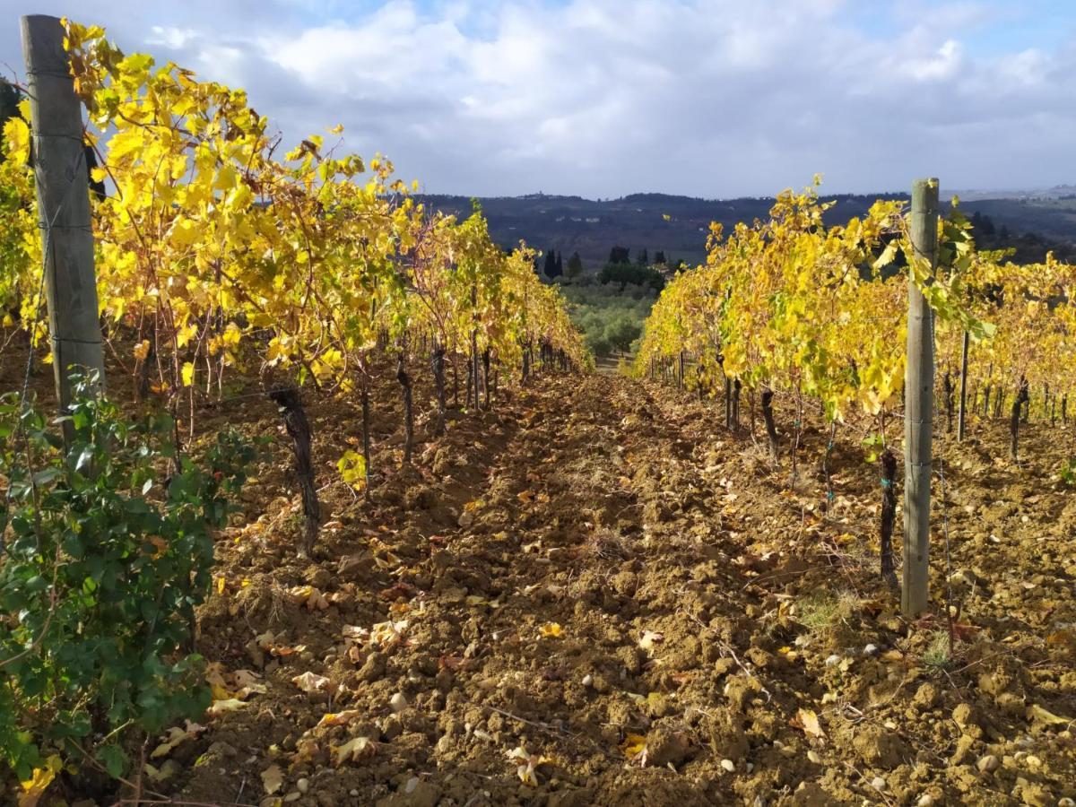 La Quiete Tra Le Vigne Tuscany Apartment Collesalvetti