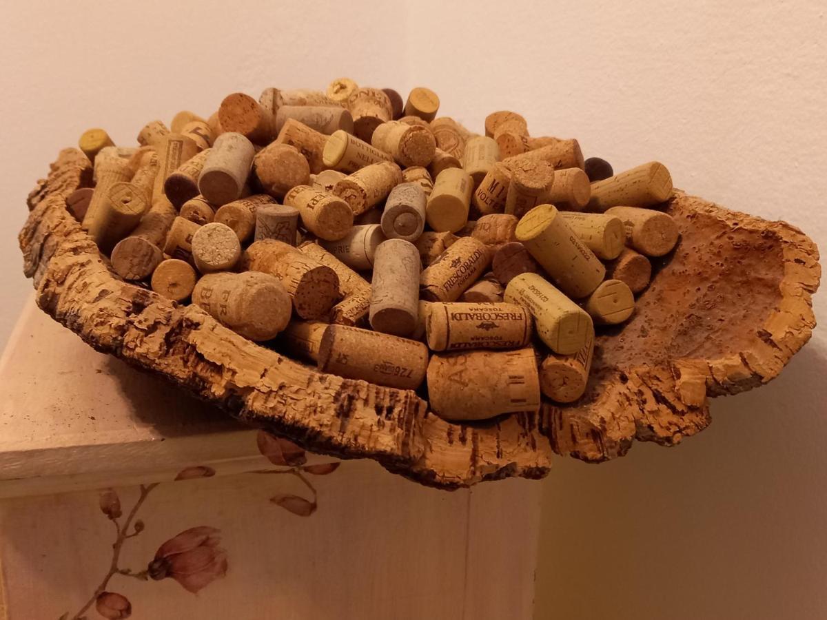 Apartment La Quiete Tra Le Vigne Tuscany Collesalvetti