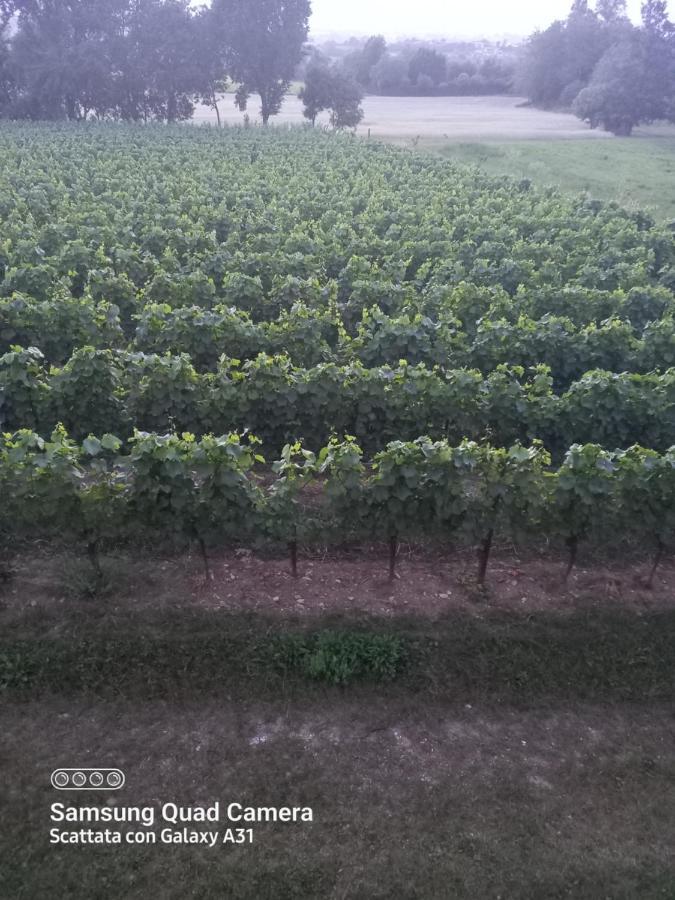 Apartamento La Quiete Tra Le Vigne Tuscany Collesalvetti