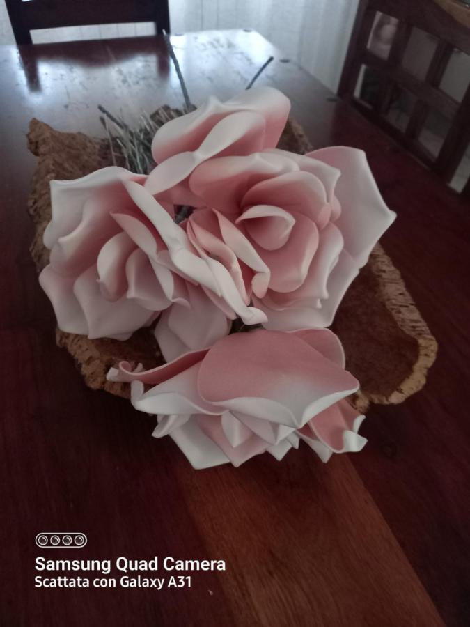 Apartamento La Quiete Tra Le Vigne Tuscany *